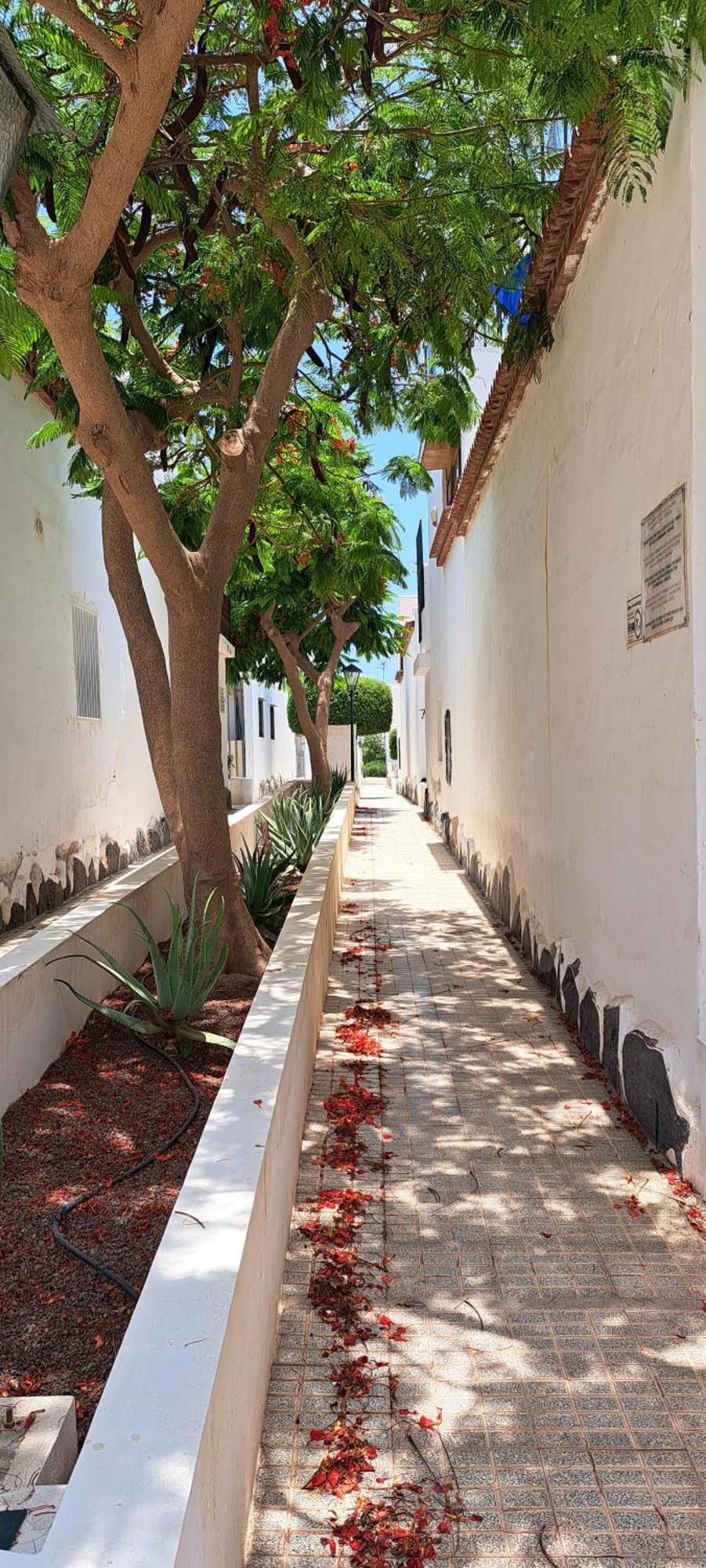 Kassisaba Apartment Costa Del Silencio Luaran gambar